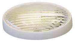  Porch Light, LED Oval, With Switch 